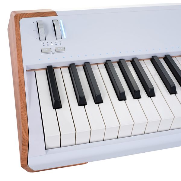 Arturia AstroLab 88 Arturia AstroLab 88
